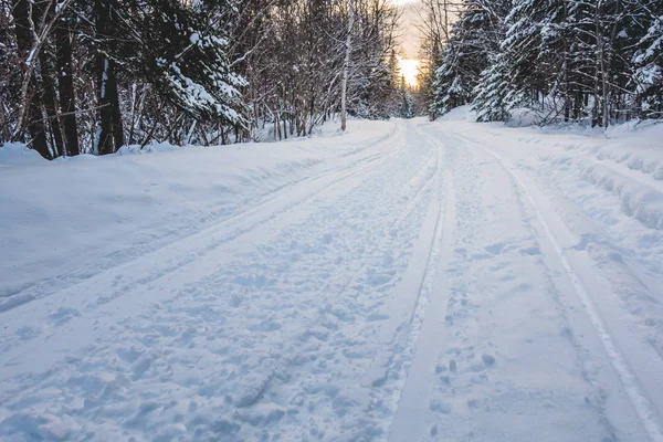 加拿大魁北克冷冬日落野生森林雪地车轨道 — 图库照片