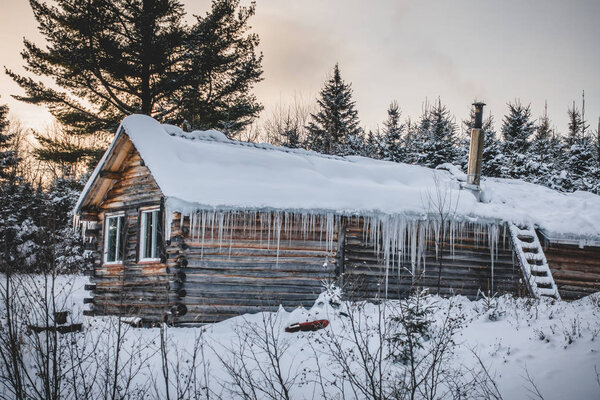 Canadian Round Log Wood Shack during Beautiful Winter Sunset