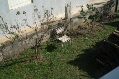 Arka bahçesinde genç bir bahçe ağacı ve beyaz bir sandalye var..