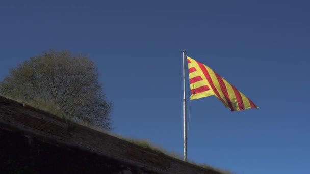 Rüzgarda Dalgalanan Katalonya Bayrağı — Stok video