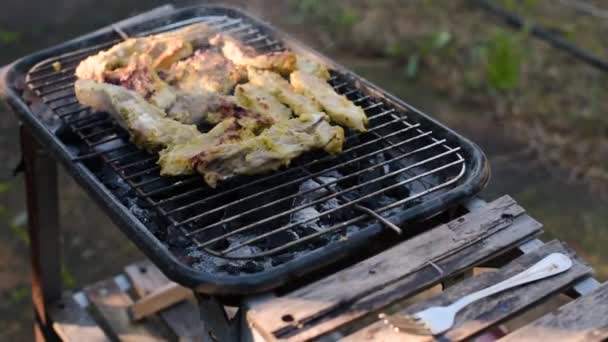 Costillas Cerdo Cocinadas Una Barbacoa — Vídeo de stock