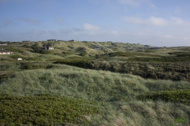 Çimlerle, çalılarla ve evlerle kaplı küçük çayır tepeleri, tipik Danimarka.