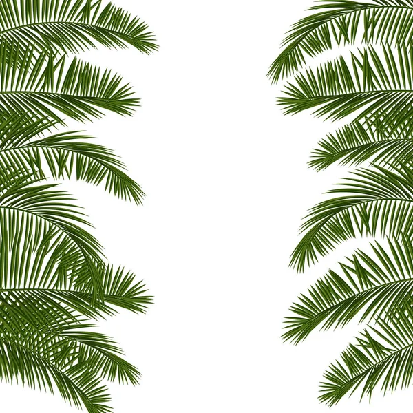 Привіт Літо зелений palm leaf — стоковий вектор