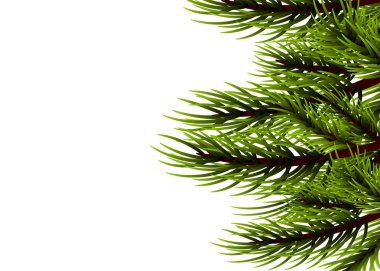 Gerçekçi izole köknar afiş arka plan