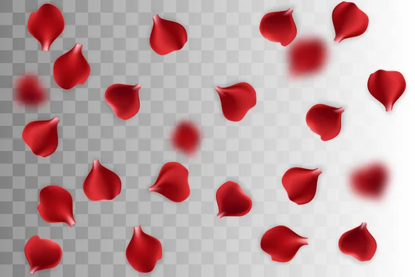 빨간 장미 꽃잎 투명 배경 — 스톡 벡터
