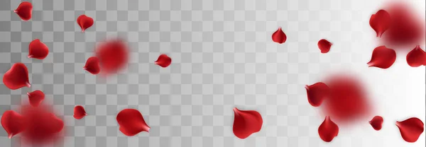 빨간 장미 꽃잎 투명 배경 — 스톡 벡터