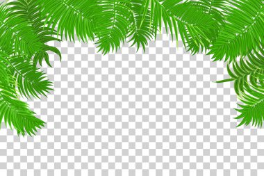 Yaz orman palmiye yaprak çerçeve