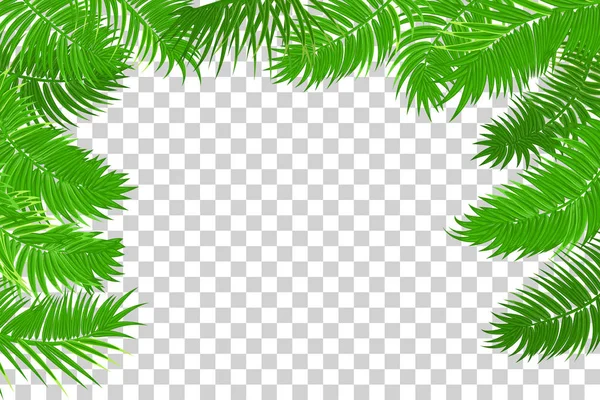 Zomer jungle palm blad frame — Stockvector