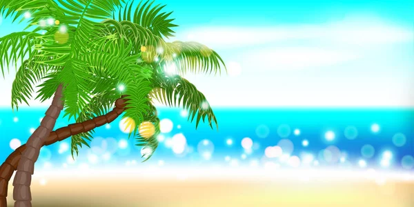 Heure d'été littoral paysage palmier — Image vectorielle