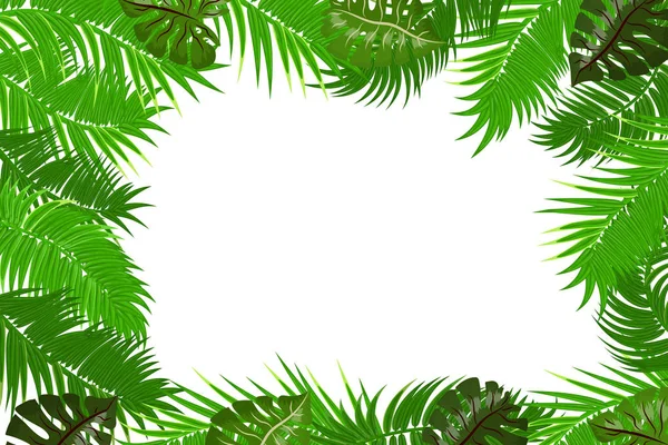 Sommer Dschungel Palmblatt Rahmen — Stockvektor