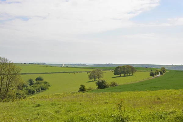 La campagna di South Downs vicino a Worthing, Inghilterra — Foto Stock