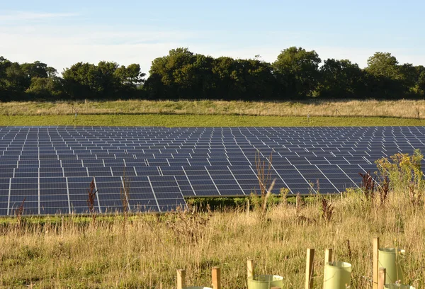 Campo de paneles solares, Sussex, Inglaterra —  Fotos de Stock