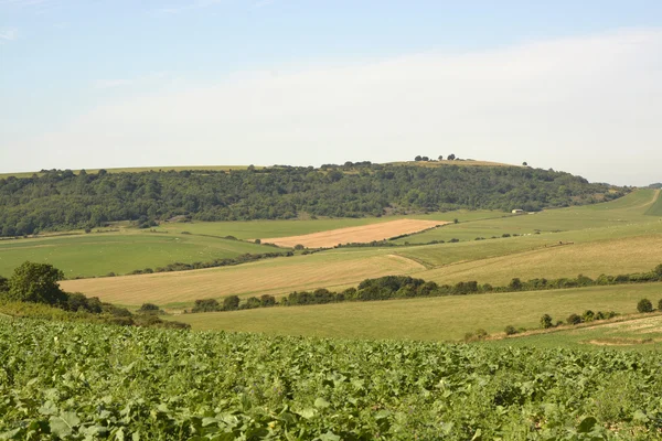 South Downs Countryside, Sussex, England — Stock Photo, Image