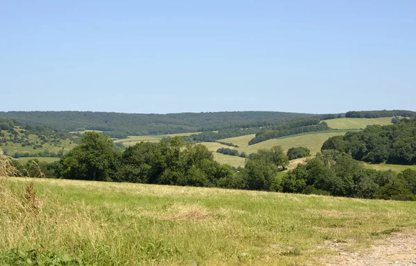 South Downs landsbygd på Goodwood, England — Stockfoto