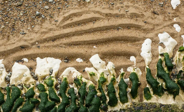 Areia, seixos, rochas e algas marinhas — Fotografia de Stock