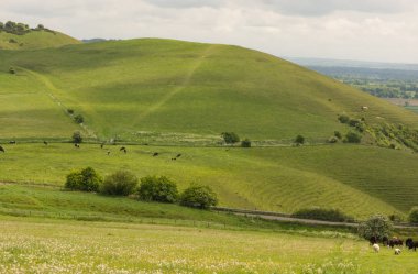 PEWSEY Hills, Wiltshire, İngiltere