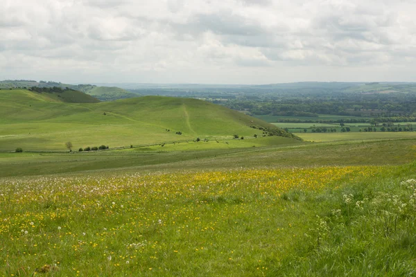 Pewsey Hills, Wiltshire, England — Stockfoto