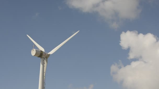 Wind aangedreven elektriciteit generator — Stockvideo