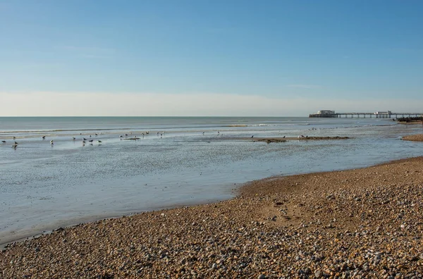 Worthing pláž a molo, Anglie — Stock fotografie