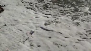 Küçük dalgalar Shingle plaj üzerine kırma