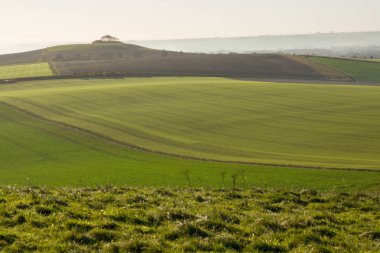 Vale of Pewsey, Wiltshire, İngiltere