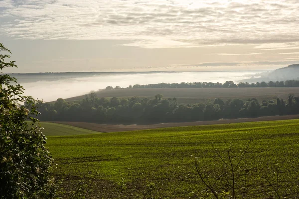 Misty countryside at Arundel, Sussex, England — Stock Photo, Image