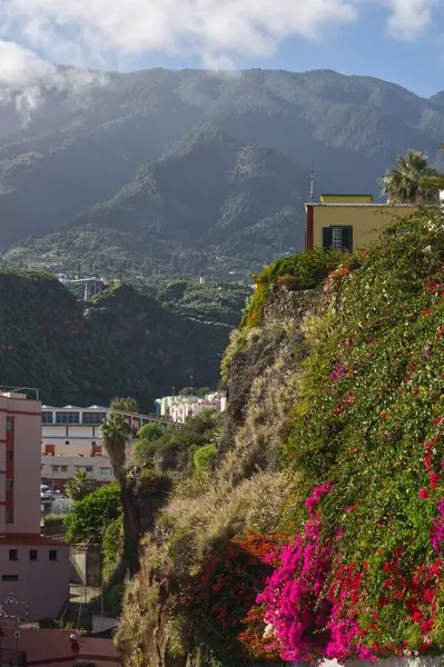 Straße Santa Cruz Palma Kanarische Inseln Mit Berg Hintergrund — Stockfoto
