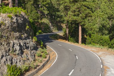 La Palma, Kanarya Adaları 'ndaki volkana giden yol.
