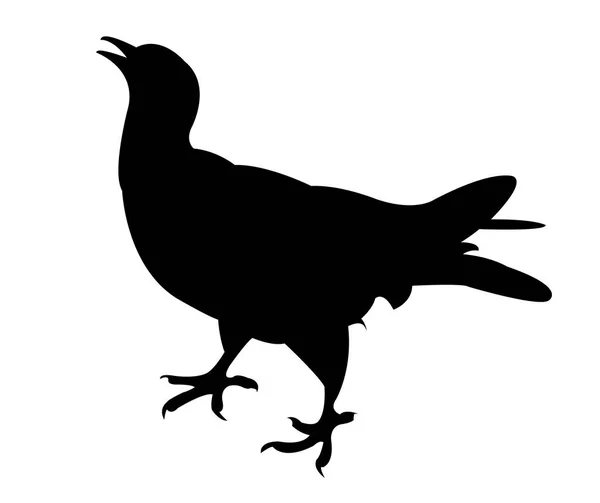 Een duif silhouet vector — Stockvector