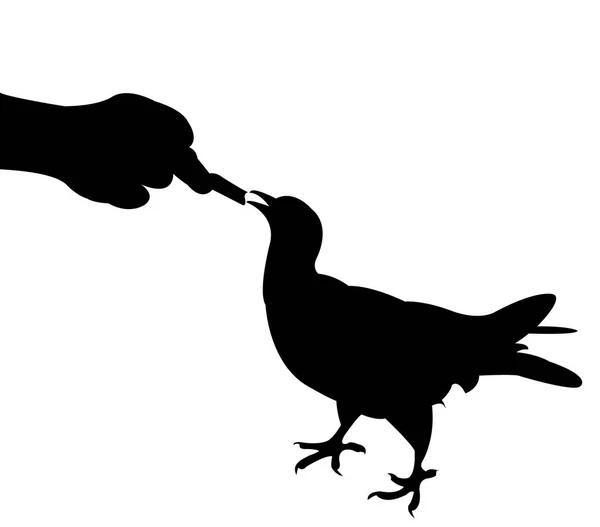 Voeding van de vogel, de silhouet vector — Stockvector
