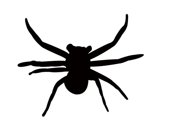 Vector Silueta Araña — Vector de stock