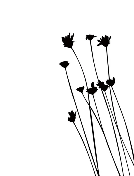 Fekete színű virág silhouette vektor — Stock Vector