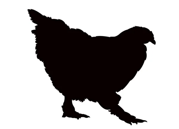 鶏の体のシルエット ベクトル — ストックベクタ