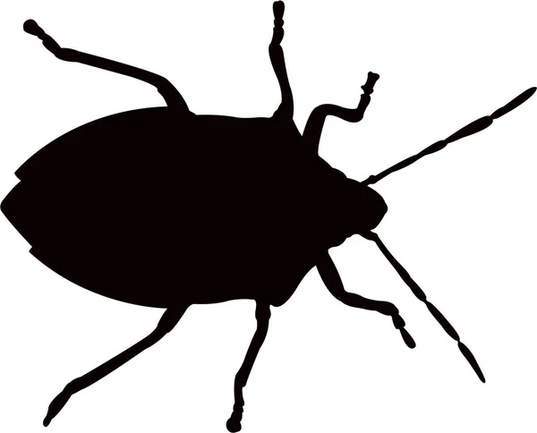 Insect Body Silhouette Vector — Stock Vector