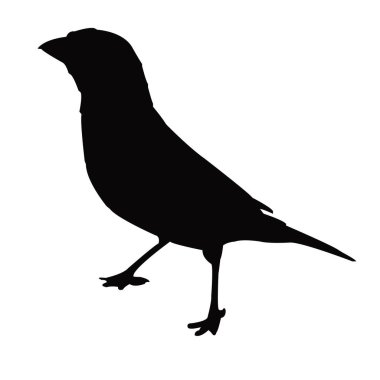 bir serçe gövdesi slhouette vektörü