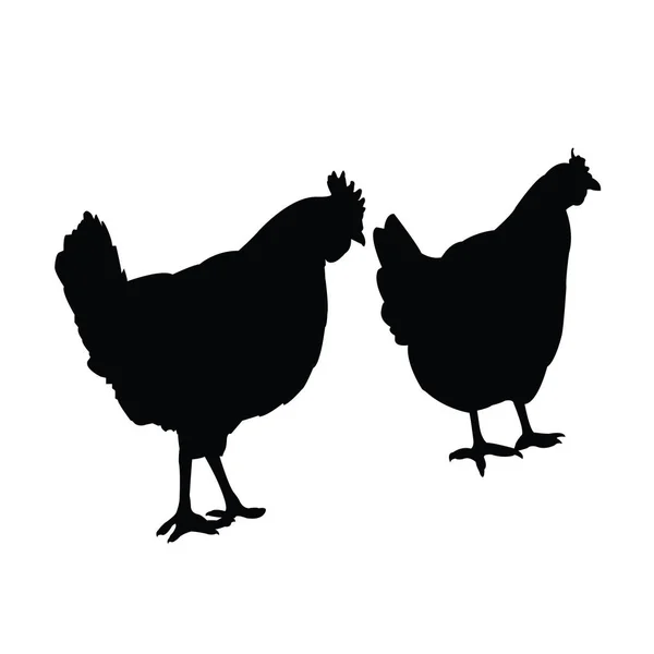 Dos Cuerpo Pollo Slhouette Vector — Vector de stock