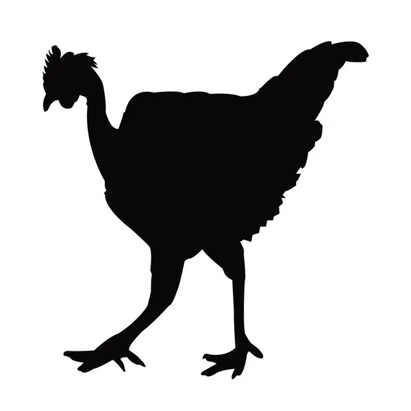 Vector Slhouette Cuerpo Pollo — Vector de stock