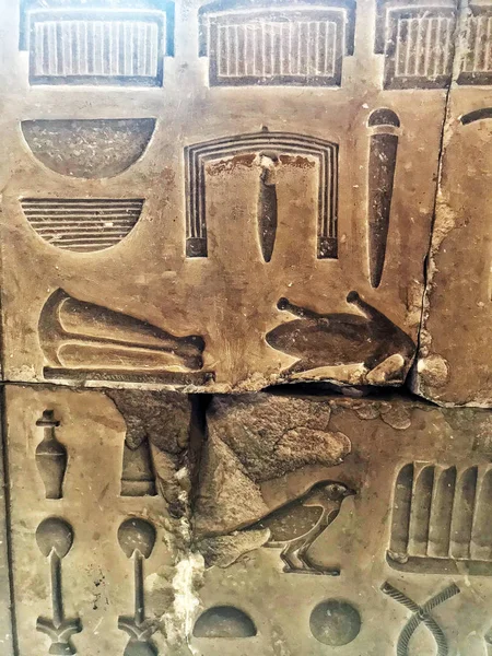 Hiyeroglif Sanat Mısır Tarihi Müzesi Kahire Mısır — Stok fotoğraf