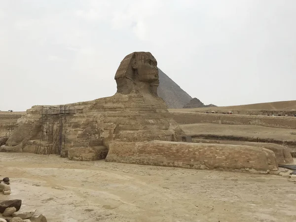 Wielki Sfinks Piramidy Gizie Egipt — Zdjęcie stockowe