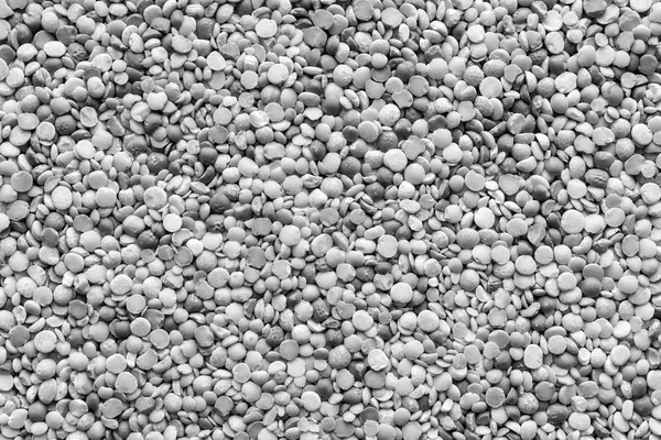 Torkad strimlad ärter av grå färg — Stockfoto