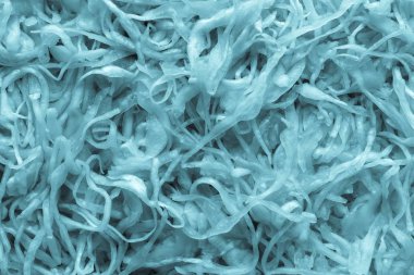 arka plan doku parçalanmış ve fermente lahana üzerinden