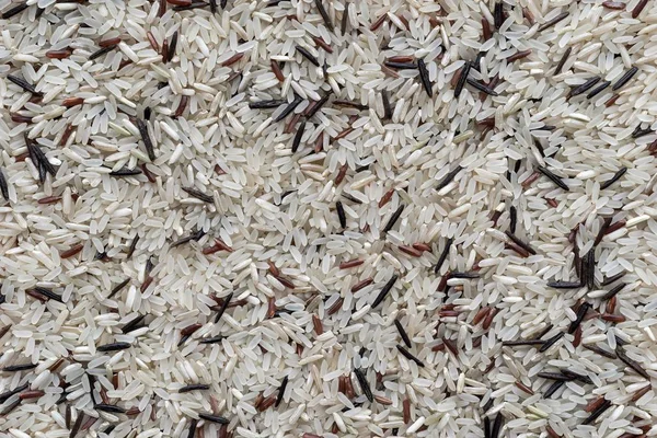 Fondo y textura de semillas secas de arroz — Foto de Stock