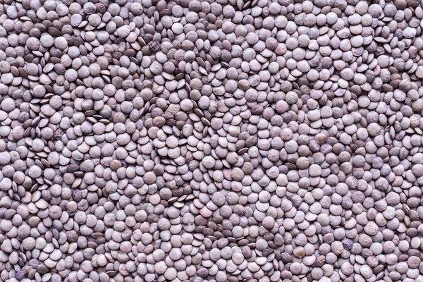 Background and texture from grains or seed of lentil — Stock Photo, Image