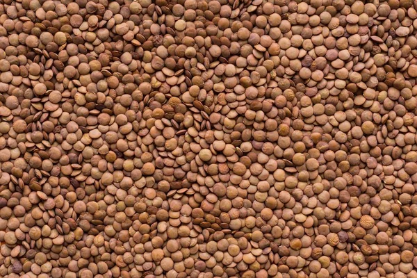 Background and texture from grains or seed of lentil — Stock Photo, Image