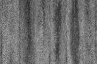 Dekoratif doğal kürk dokusuna