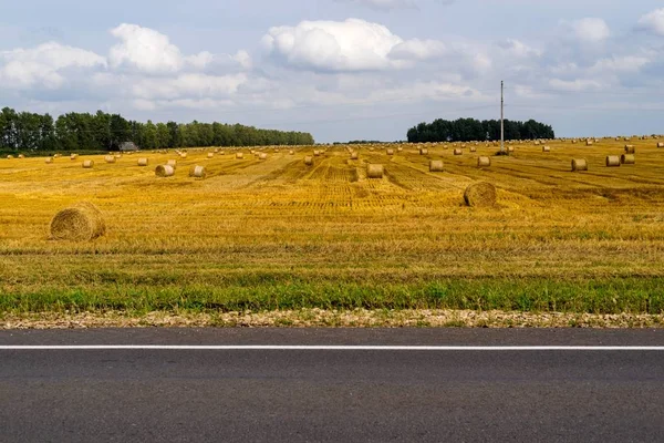 고속도로의 일부를 경작 하는 농업 풍경 — 스톡 사진