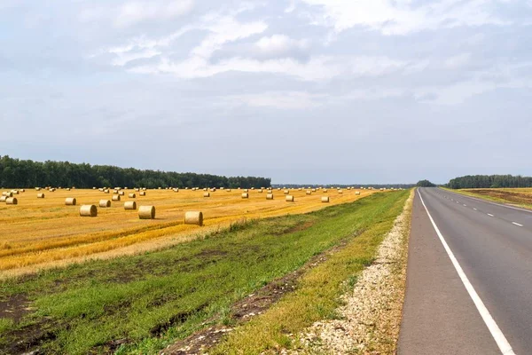 농업 분야와 고속도로의 풍경 — 스톡 사진