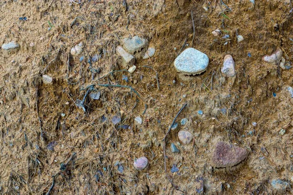 Textura del suelo arenoso salvaje —  Fotos de Stock