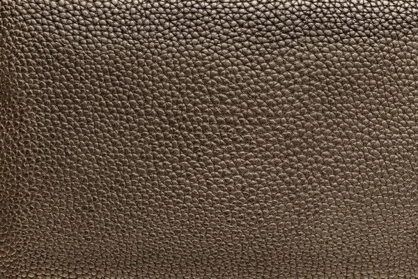 Texture marron du cuir — Photo