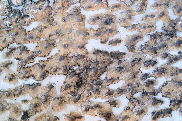 Абстрактная каменная поверхность — стоковое фото